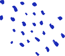 Preemie Advocacy Network